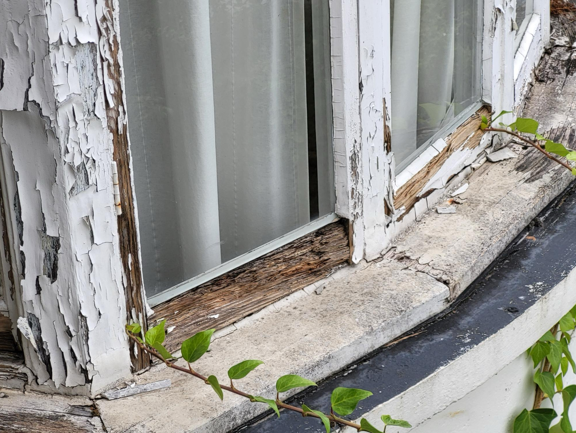 Featured image for “Taking the long view”